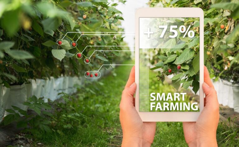 smart farming management software