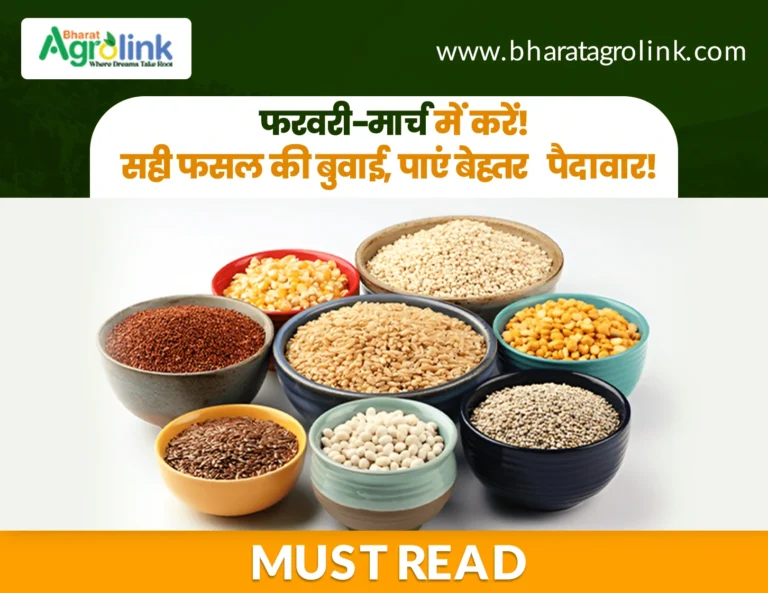 दलहन फसलें: बुवाई का सही समय, प्रमुख किस्में और फायदे!