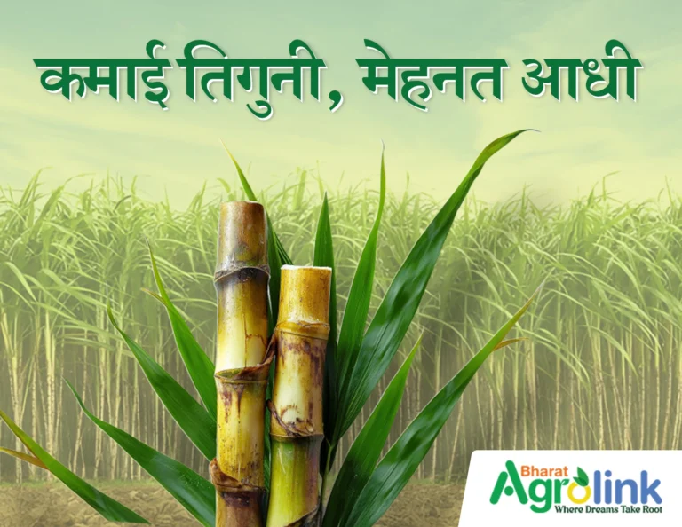 कमाई तिगुनी, मेहनत आधी