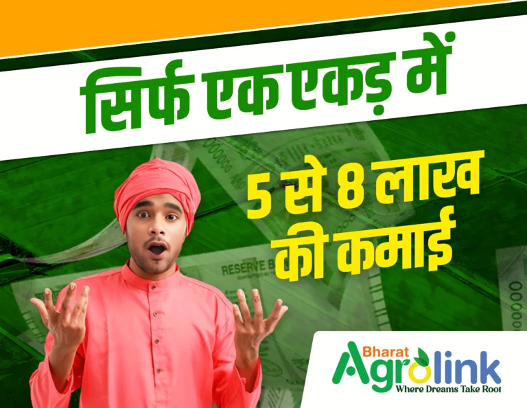 Sirf 1 Acre Se 5 to 8 Lakh ki kamai