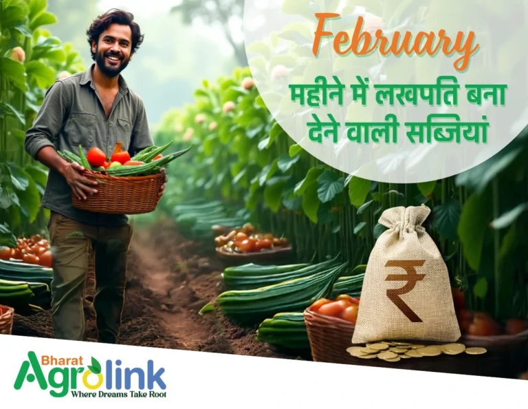 February महीने में लखपति बना देने वाली सब्जियां।