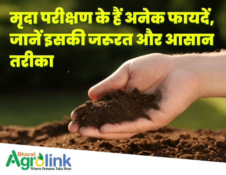 thumbnail blogs 25-03-2025 soil[1]