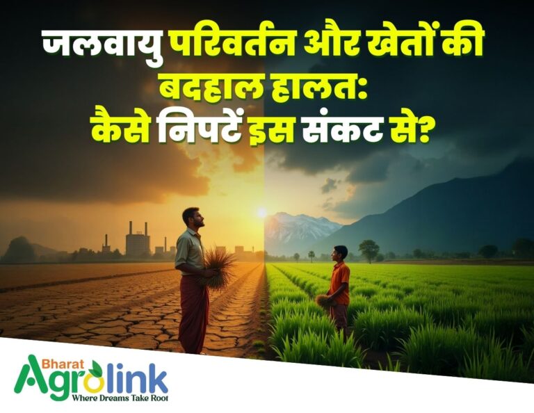 जलवायु परिवर्तन