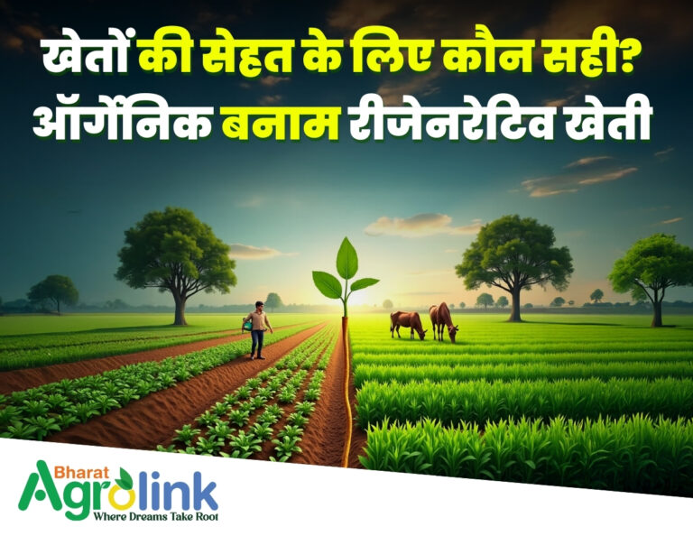 thumbnail blogs 14-04-2025 organic farm