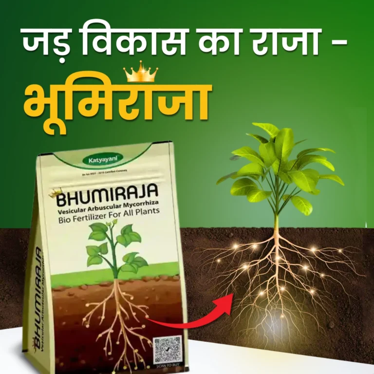 Bharat Agrolink Bhumiraja
