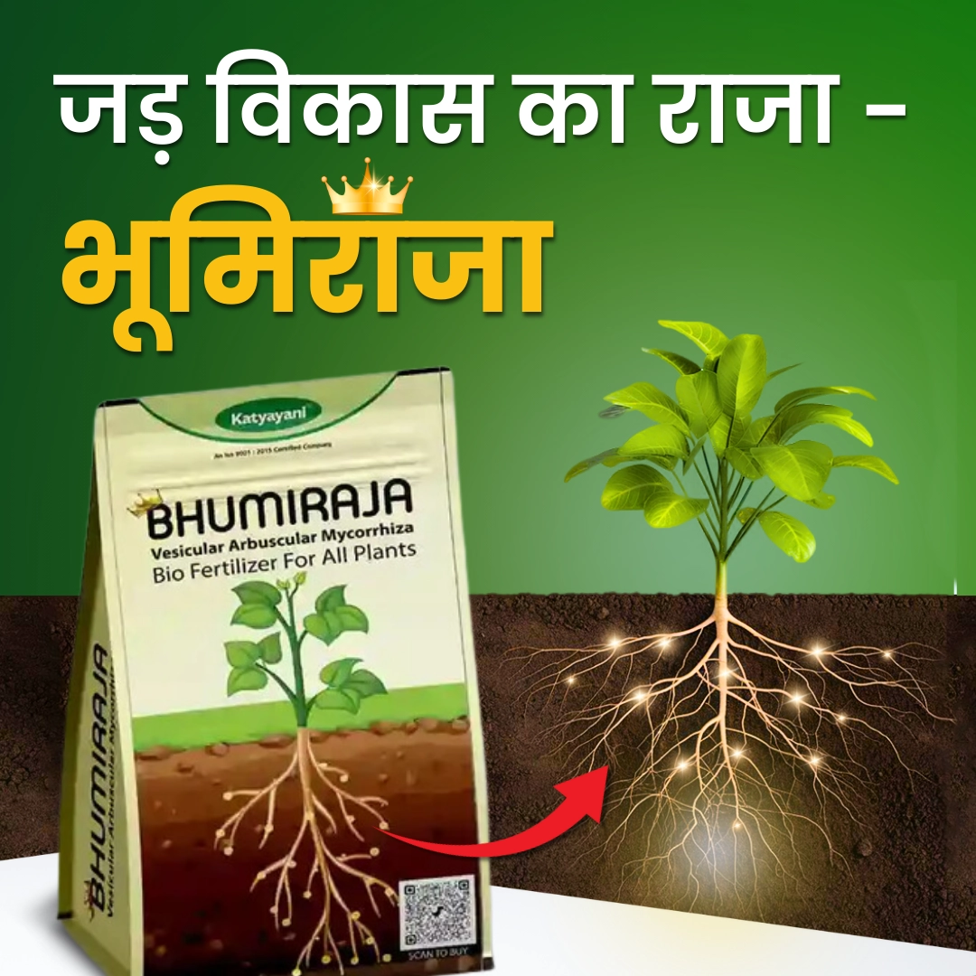 Bharat Agrolink Bhumiraja