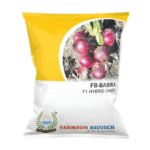 Onion Seeds