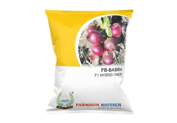 Onion Seeds