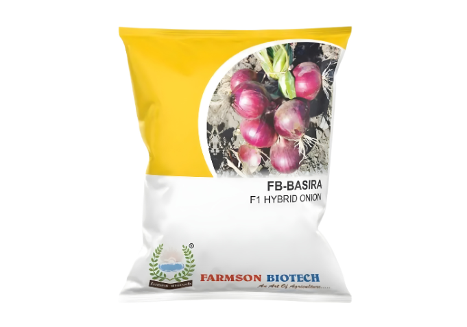 Onion Seeds
